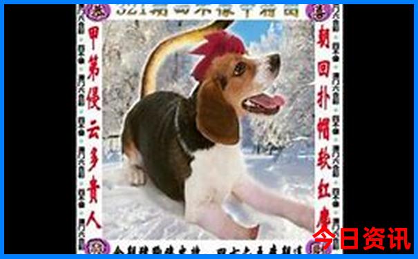 河西区必去的三个景点