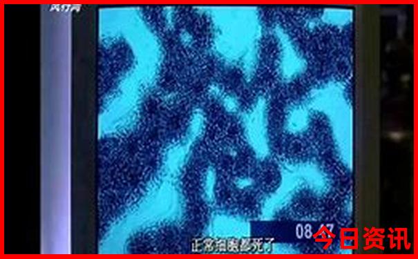 9月去哪里玩最合适