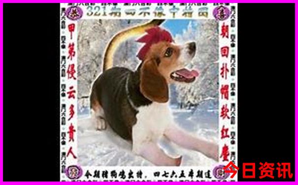 夏天凉快的旅游城市